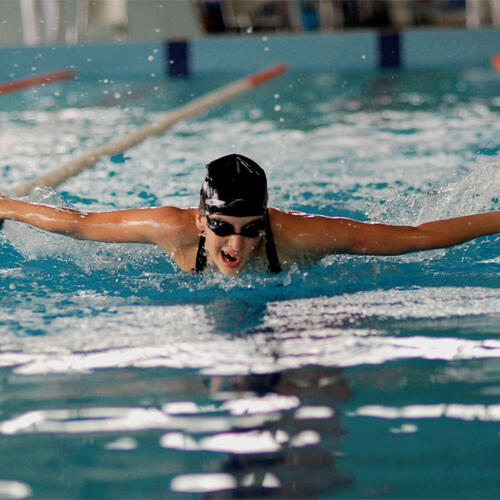Natation